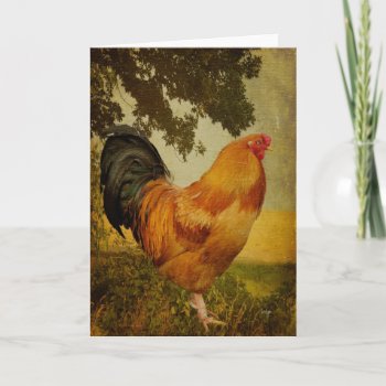 Chanticleer Rooster Blank Greeting Card by LoisBryan at Zazzle