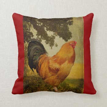 Chanticleer Rooster Pillow By Lois Bryan by LoisBryan at Zazzle