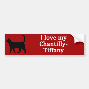 Chantilly-Tiffany Love Bumper Sticker
