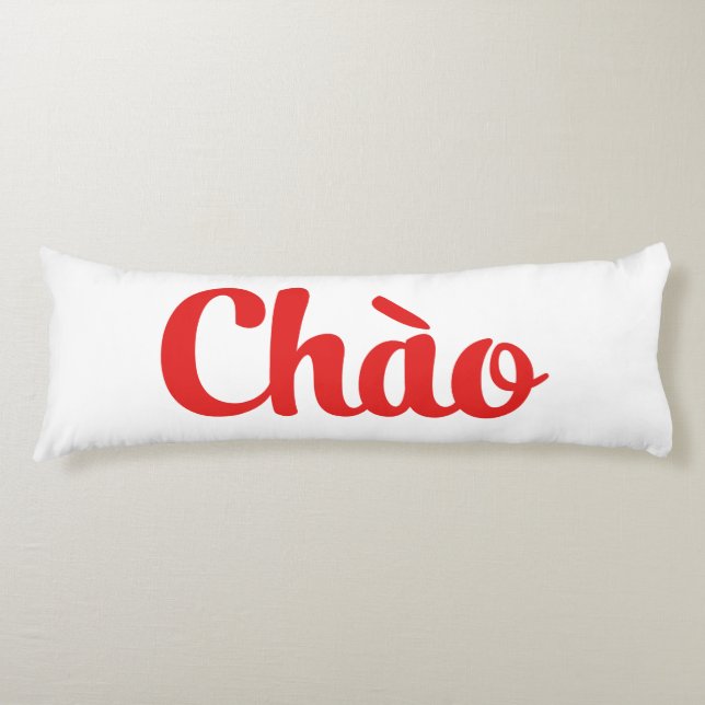 Chào / Hello ~ Vietnam / Vietnamese / Tiếng Việt Body Pillow (Front)