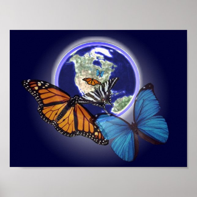 Chaos and the Butterfly Poster (Front)