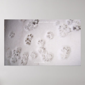 chaos in fresh fallen snow poster