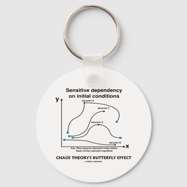 Chaos Theory's Butterfly Effect Keychain (Front)