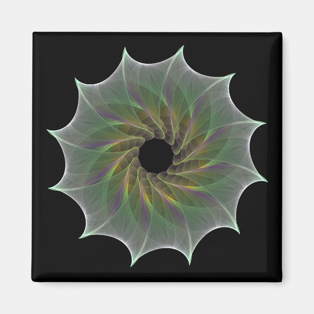chaotic attraction fractal spiral circle magnet (Front)