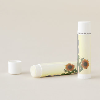 chap stick lip balm