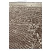 Chapin Fruit Ranch (Front)