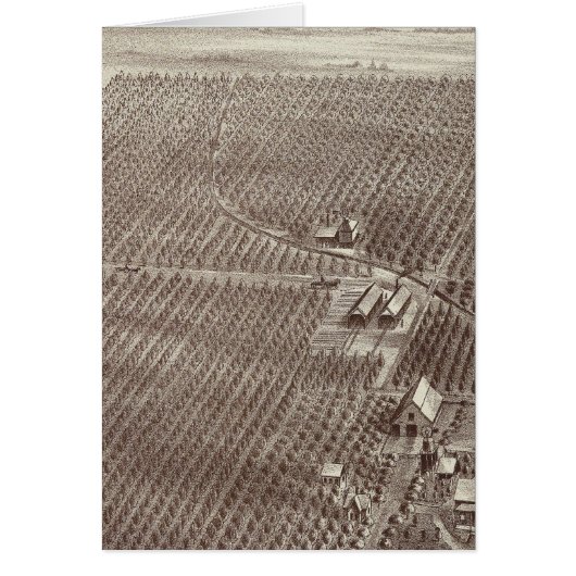 Chapin Fruit Ranch Cards (Front)