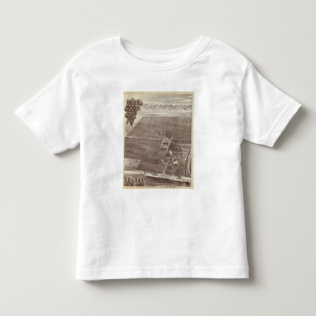 Chapin Fruit Ranch Toddler T-shirt (Front)