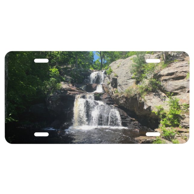Chapman Falls License Plate (Front)