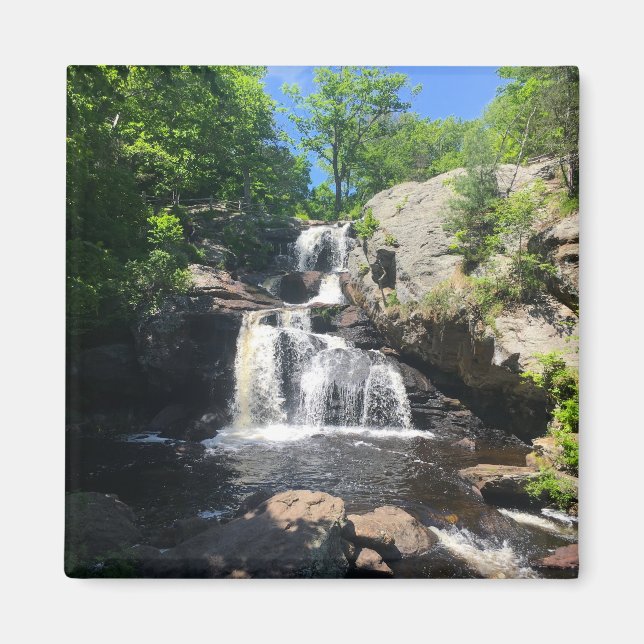 Chapman Falls Magnet (Front)