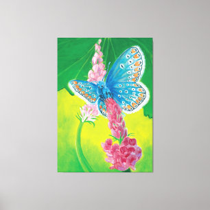 Chapmans blue butterfly (Polyommatus thersites) Canvas Print