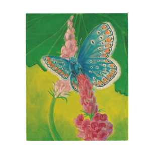 Chapmans blue butterfly (Polyommatus thersites) Wood Wall Art