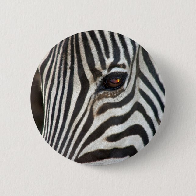 Chapman's Zebra Pinback Button (Front)