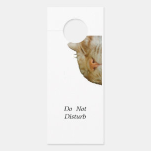 Character Customization Don't disturb Door Hanger