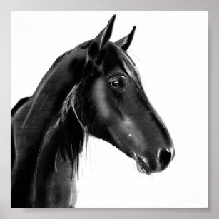 Charcoal Black and White Horse Sketch Poster