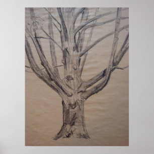 Charcoal Drawing of a Tree Poster