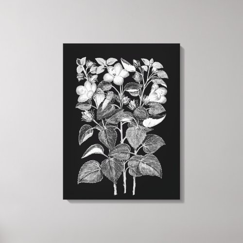 Charcoal Drawing of Italian Hibiscus flowers Canvas Print