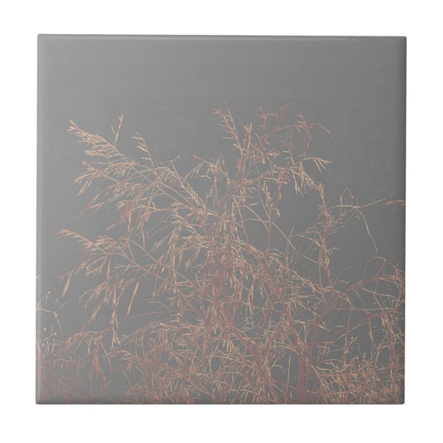 Charcoal Grey Golden Tree Brunches Sky Ceramic Tile (Front)
