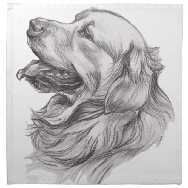 Learn How to Draw Golden Retriever Puppy (Dogs) Step by Step : Drawing  Tutorials