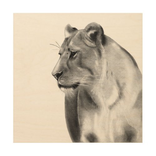 Charcoal Sketch Lioness Female Lion Wood Wall Art