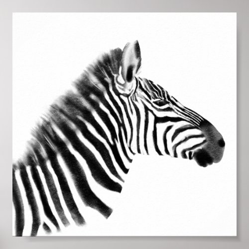 Charcoal Sketch Zebra Poster