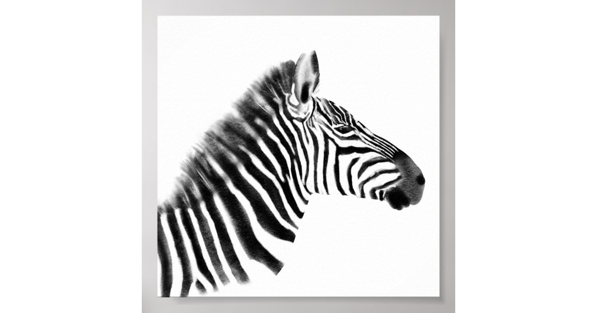 Charcoal Sketch Zebra Poster | Zazzle