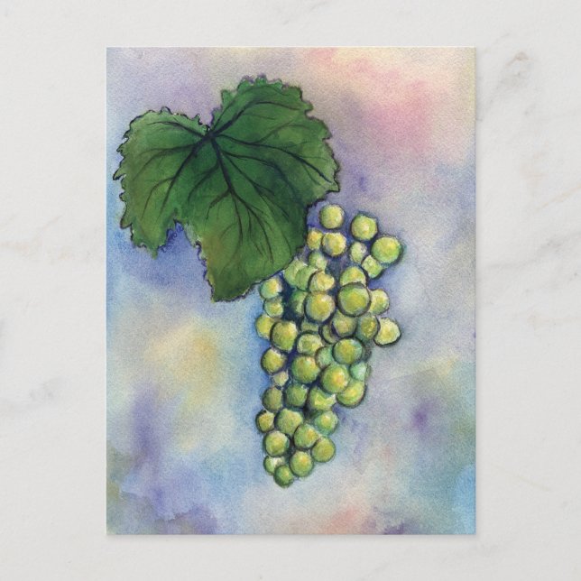 Chardonnay Wine Grapes Postcard (Front)
