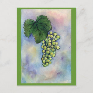 Chardonnay Wine Grapes Postcard