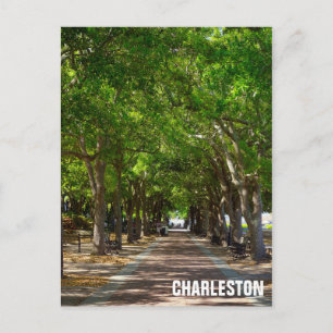 Charelston South Carolina Ravenel Waterfront Park Postcard