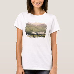 Charge of the Light Cavalry Brigade, October 25th T-Shirt