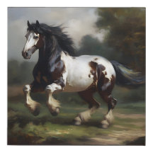 Charge Of The Skewbald Cob Horse