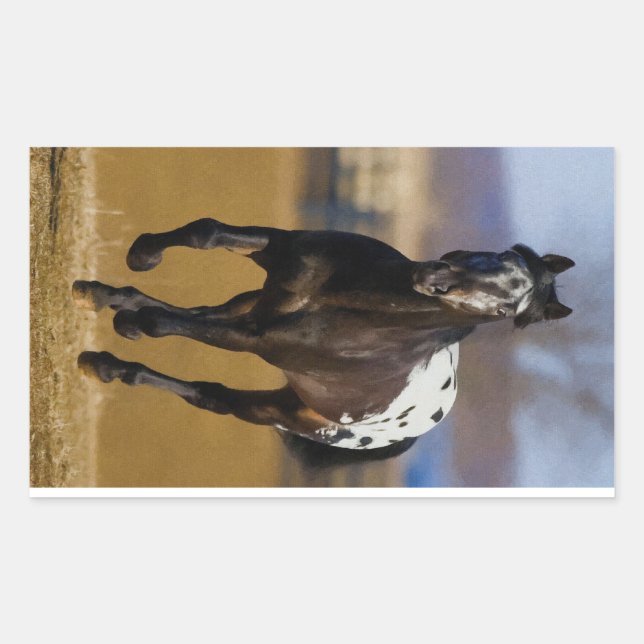 Charger Rectangular Sticker (Front)