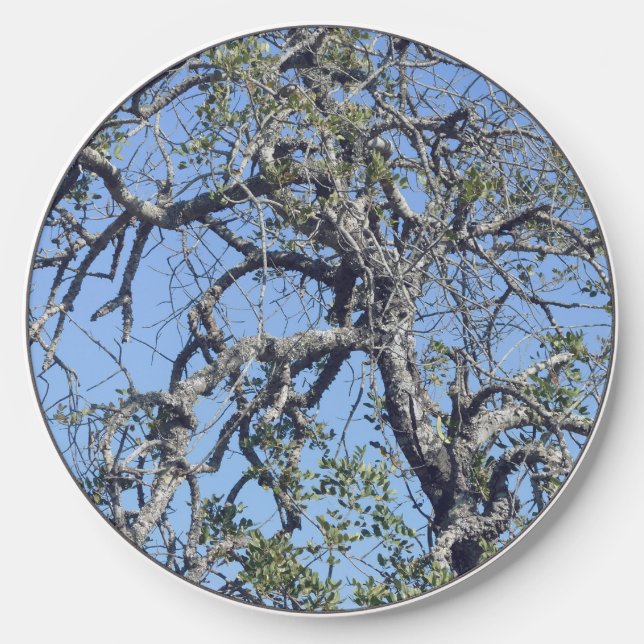 CHARGER WIRLESS STYLE AND DESIGN  (Front)