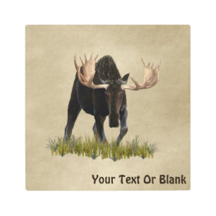 Charging Bull Moose Metal Print