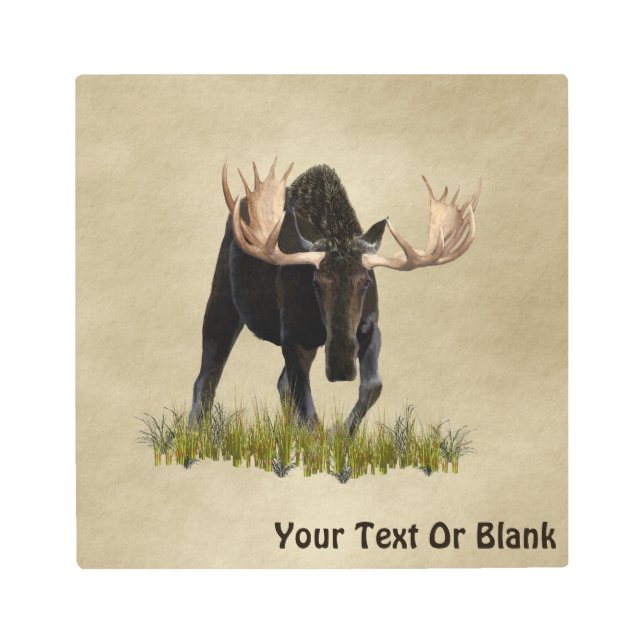 Charging Bull Moose Metal Print (Front)