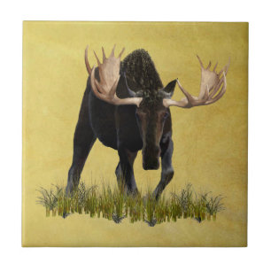 Charging Bull Moose Tile
