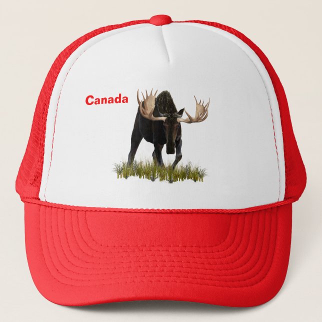 Charging Bull Moose Trucker Hat (Front)