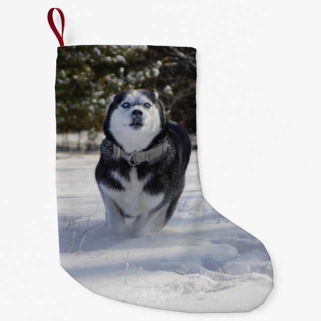 Charging Through Husky Christmas Stocking (Front)