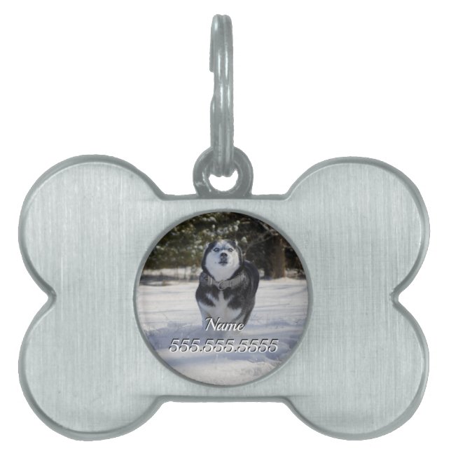 Charging Through Pet Tag (Front)