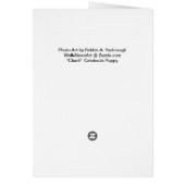 Chari The Catahoula Puppy (Back)