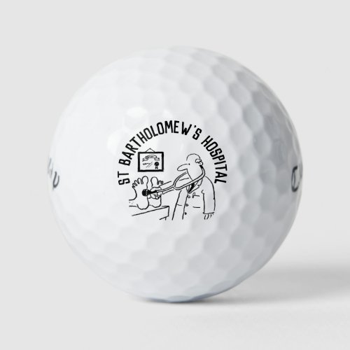 Charity Fund Raiser Gift Item Golf Balls