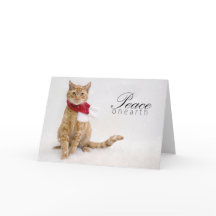 Charity Holiday Cards