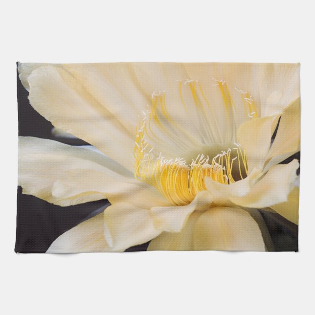 Charlemagne Echinopsis cactus bloom Kitchen Towel (Horizontal)