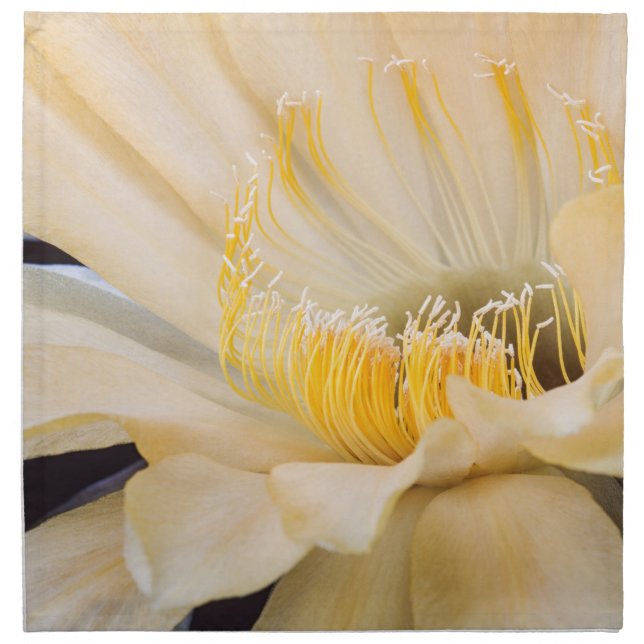 Charlemagne Echinopsis in bloom Cloth Napkin (Front)