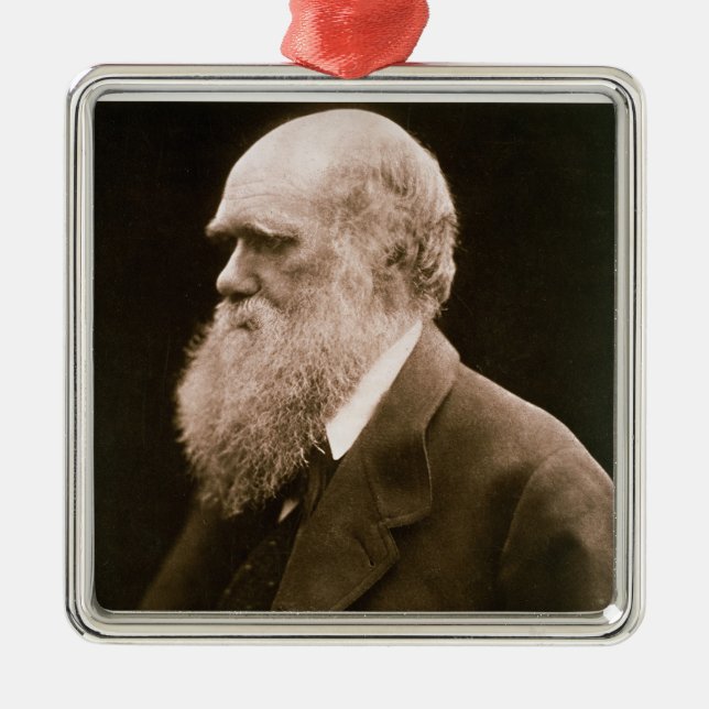 Charles Darwin (1809-82) (photo) Metal Ornament (Front)