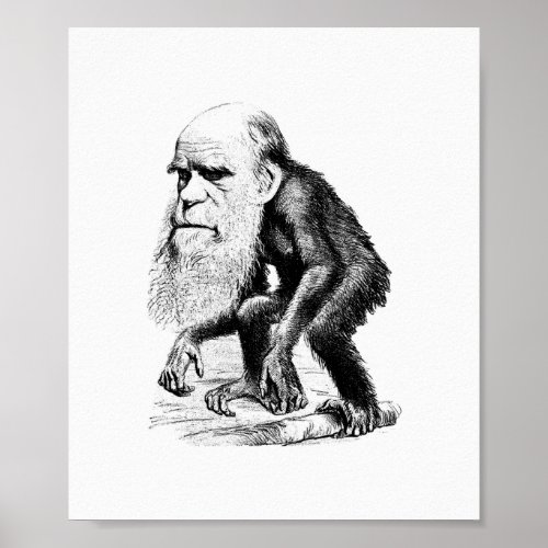 Charles Darwin As An Ape Poster