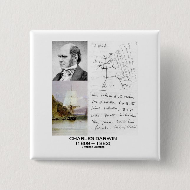 Charles Darwin (Darwin HMS Beagle Phylogenetics) Button (Front)