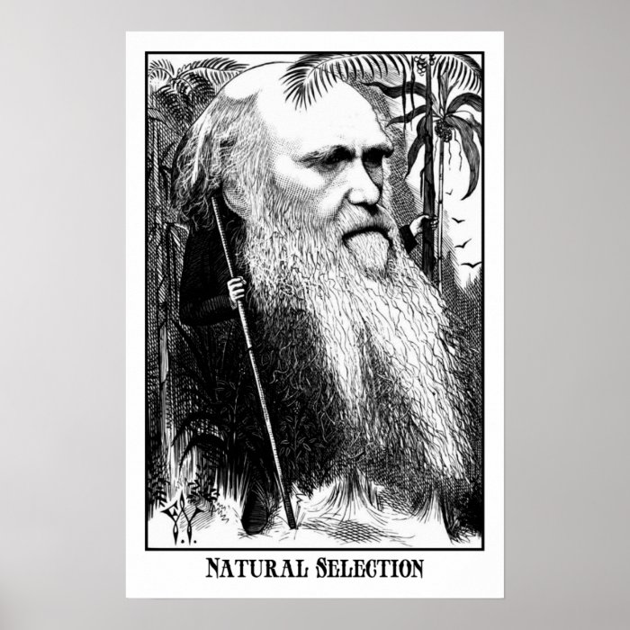 Charles Darwin  Natural Selection Poster