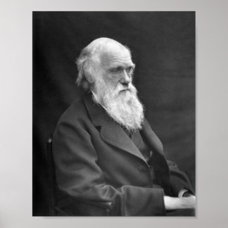 Charles Darwin Portrait - 1874 Poster