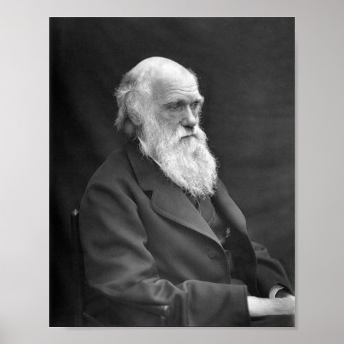 Charles Darwin Portrait _ 1874 Poster